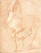 PUGET, Pierre Study of a Horse oil